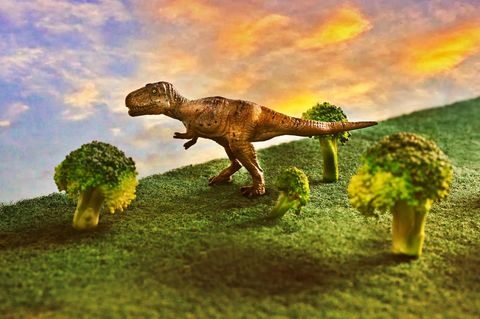 Illustration Tyrannosaurus rex: Ein Dinosaurier auf der Jagd