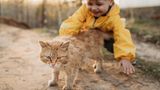 Gefährliche Tiere im Urlaub: Straßenkatze