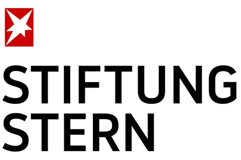 stiftung stern: Der Verein