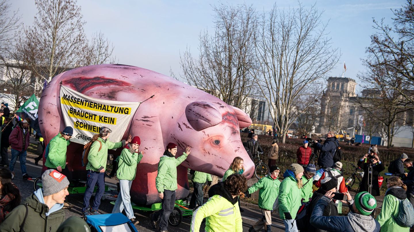 Aktion-von-Wir-haben-es-satt-Landwirte-ffnen-H-fe-f-r-Klimasch-tzer