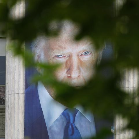 Donald Trump poster photographed through a tree