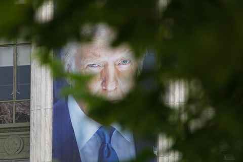 Donald Trump-Plakat durch einen Baum hindurch fotografiert