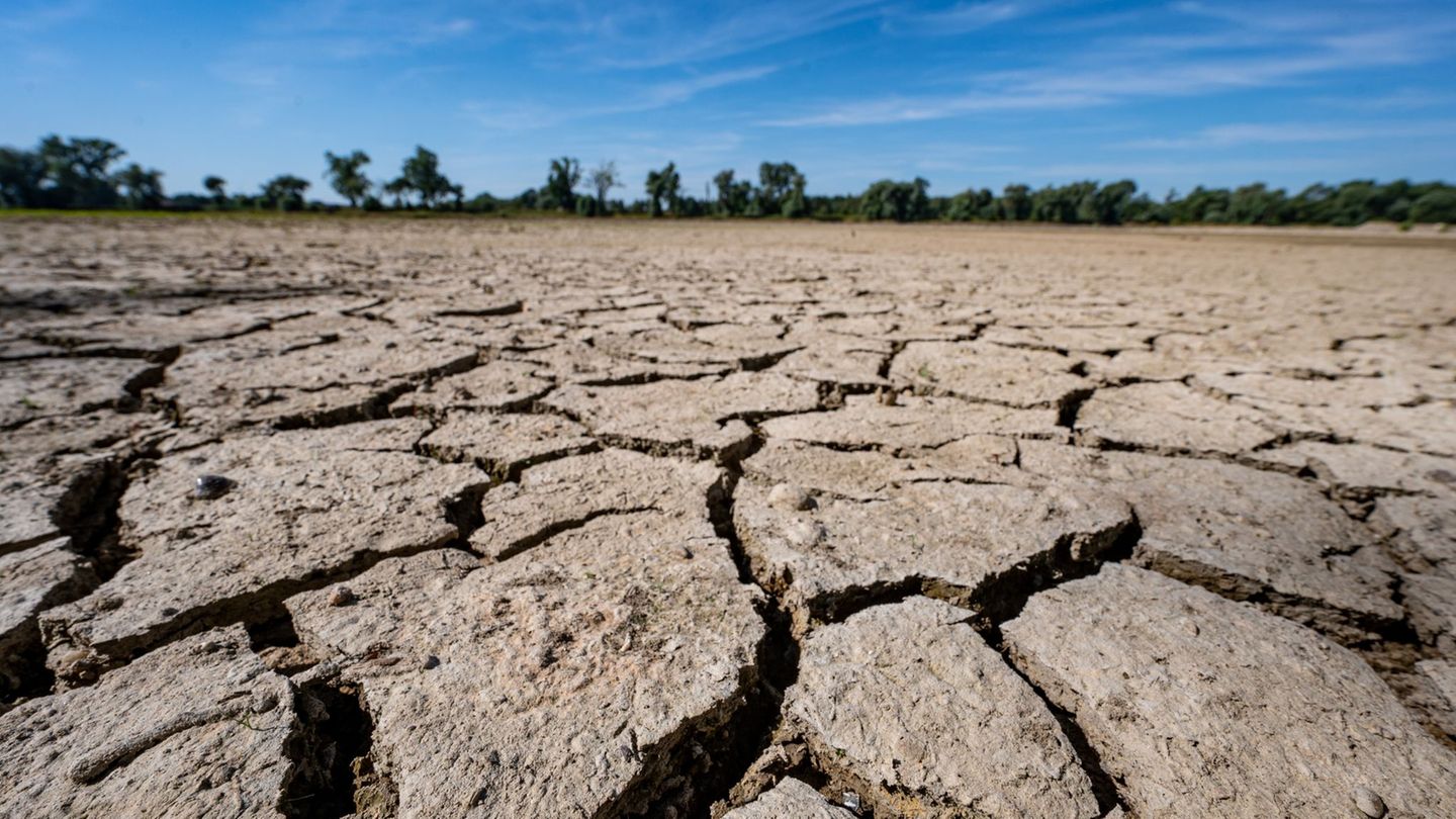 UN climate conference in Bonn: Study: CO2 budget for 1.5-degree destination shrinks rapidly