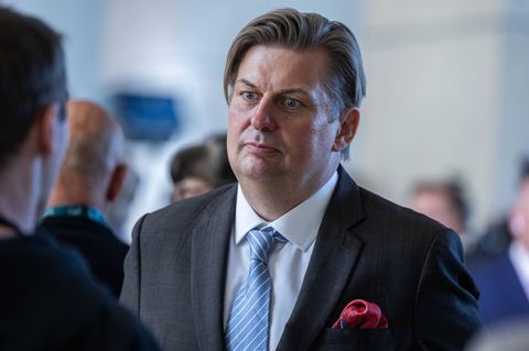 Maximilian Krah, AFD