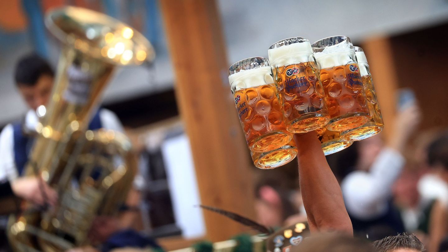 Justice: Branding for the Oktoberfest goes into the hot phase Justice: Branding for the Oktoberfest goes into the hot phase