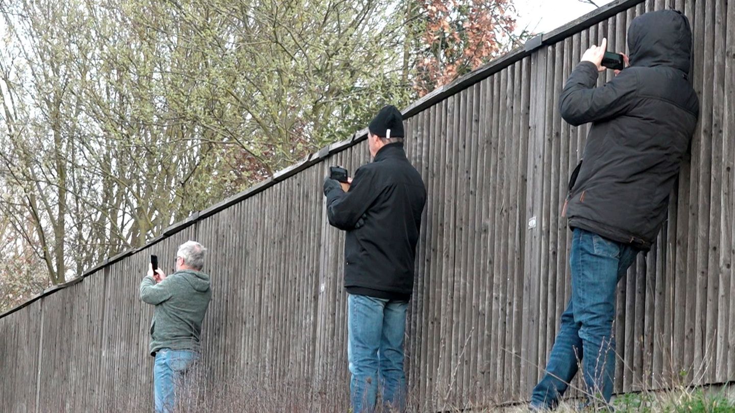 Kazalar: İtfaiye Patronu: Gaffer ehliyetini kaybedebilmelidir