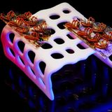 Namensgeber und Chefkoch Gaggan Anand schickt mit seinem Menü die Gäste auf "eine Achterbahn der Emotionen". Die Basis ist die indische Küche, gemischt mit Einflüssen aus Frankreich, Thailand und Japan     