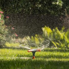 Gartendeals: Rasensprenkler wässert eine Wiese
