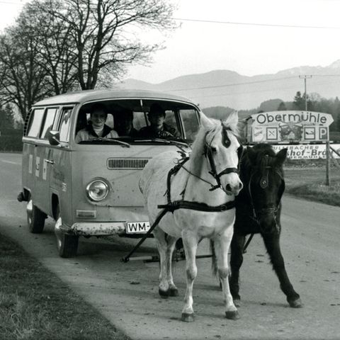 Zwei Pferde als Gespann ziehen einen VW - Kleinbus