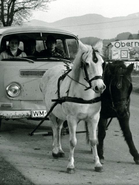 Zwei Pferde als Gespann ziehen einen VW - Kleinbus