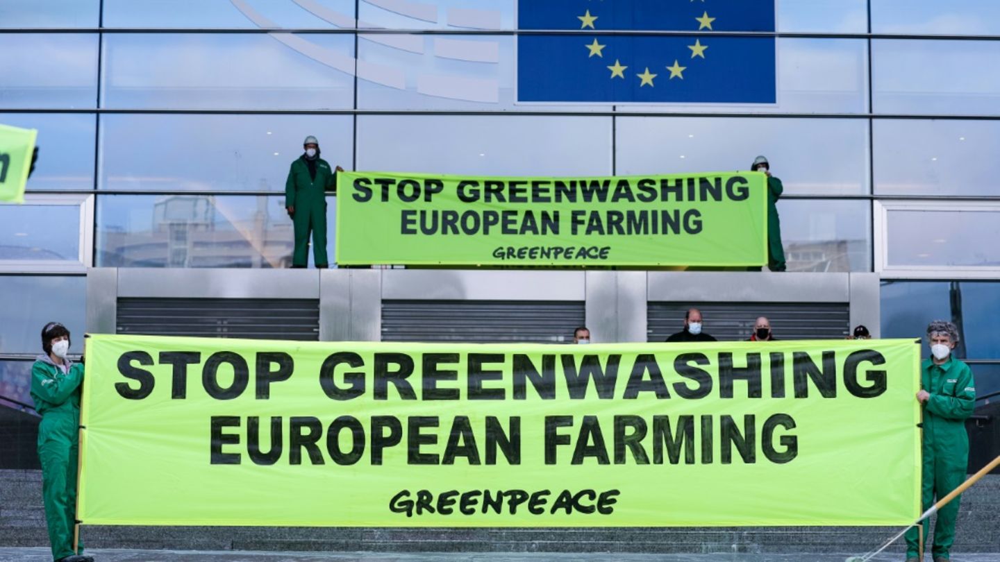 A hard-fought law requiring companies to ensure their global supply chains are free of ethical and environmental abuses has had