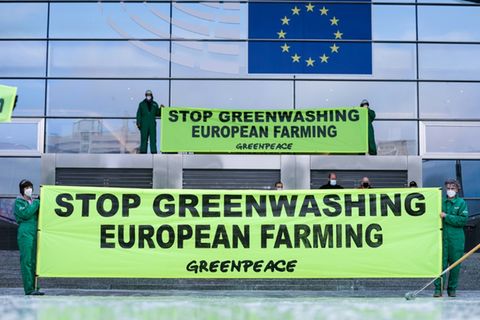 A hard-fought law requiring companies to ensure their global supply chains are free of ethical and environmental abuses has had