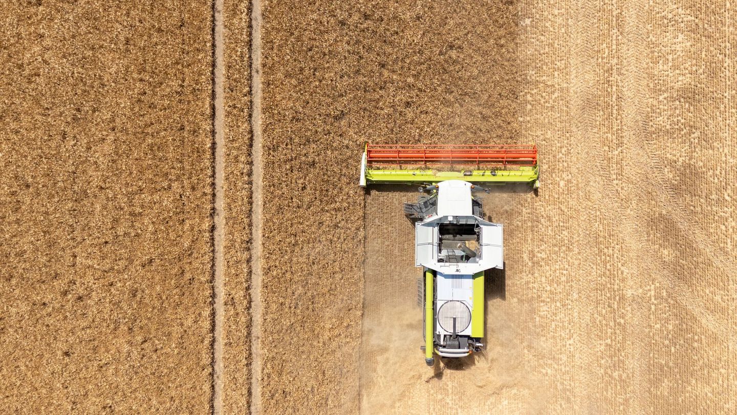 Agrar: farmers hope for average harvest