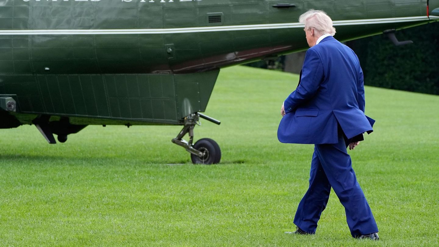 Donald Trump: He means “decision in two weeks”