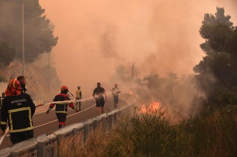 Waldbrand in Kroatien: Ein Vegetationsbrand an der kroatischen Adria-Küste