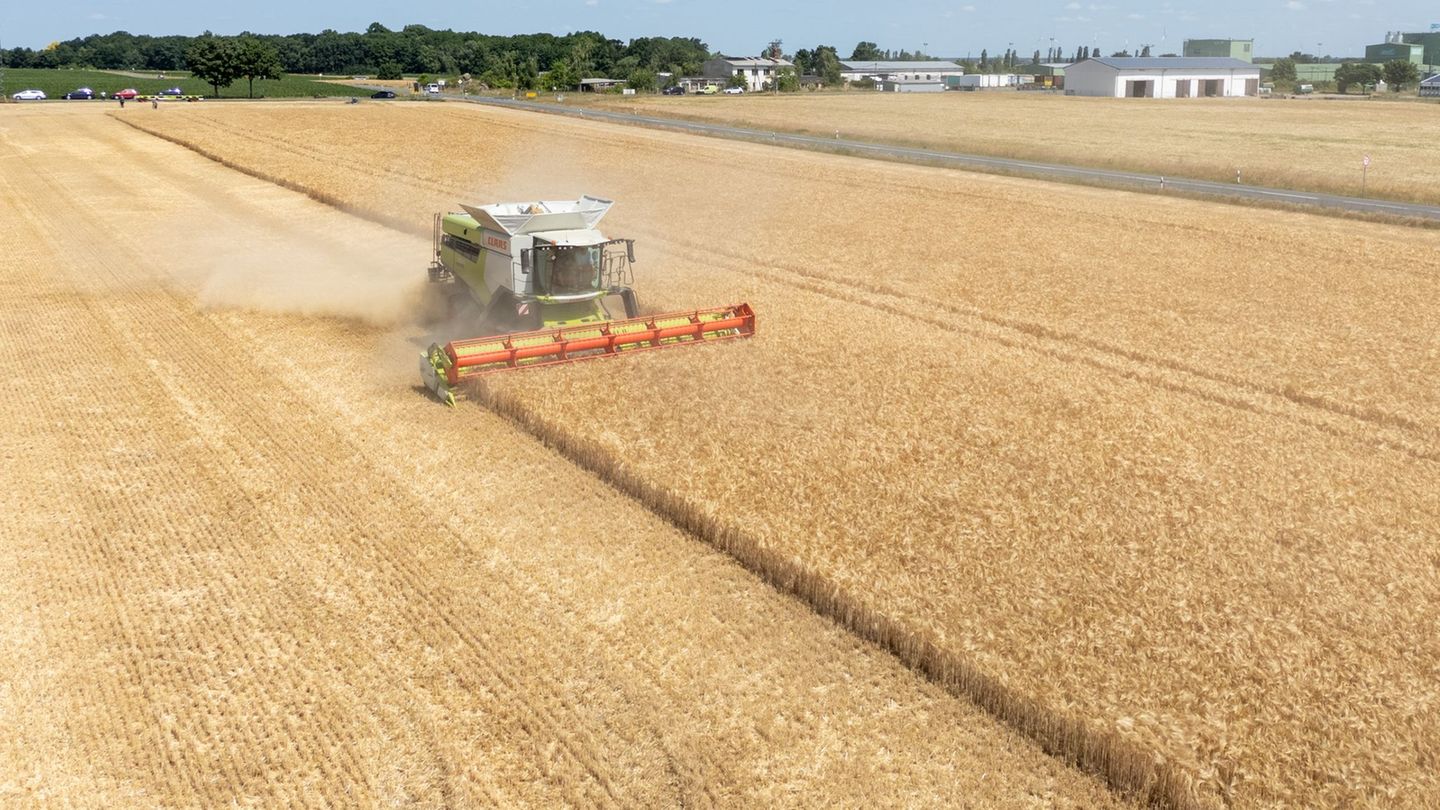 Agriculture: farmers before the harvest – “delivers” the new minister?