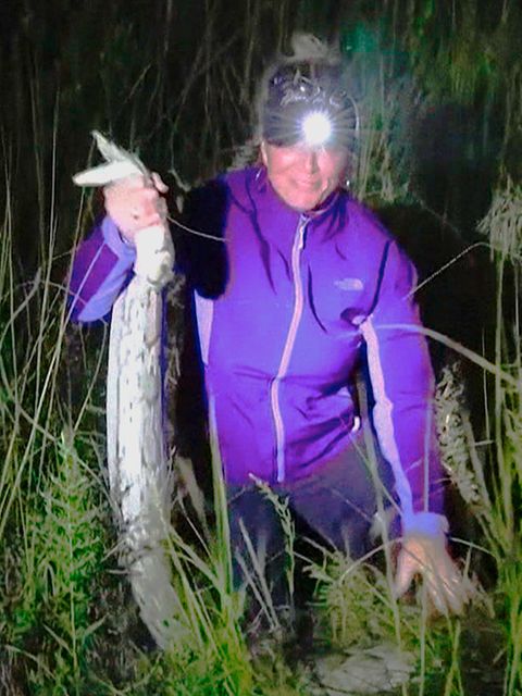 Schlangen-Jägerin fängt gefährliche Pythons mit bloßen Händen