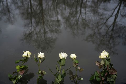 Mahnmal für Sinti und Roma in Berlin