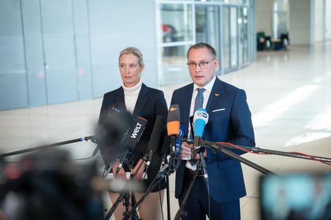 Die AfD-Chefs Alice Weidel und Tino Chrupalla