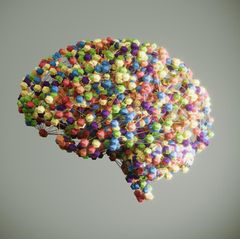 Neue Studien zeigen, dass stark verarbeitete Nahrung unser Gehirn schneller beeinflusst als gedacht – und das Verlangen nach Junkfood sogar verstärken kann