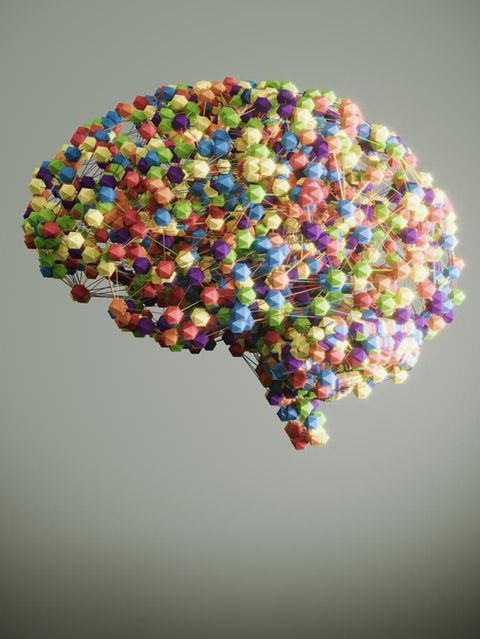 Neue Studien zeigen, dass stark verarbeitete Nahrung unser Gehirn schneller beeinflusst als gedacht – und das Verlangen nach Junkfood sogar verstärken kann