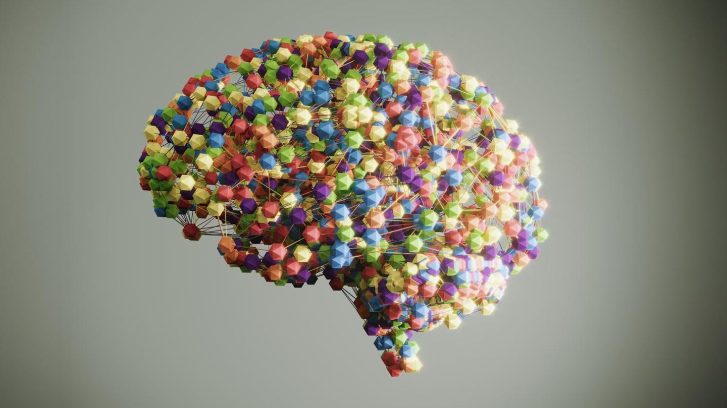 Junkfood: Übergewicht beginnt im Gehirn – und lässt sich dort auch aufhalten