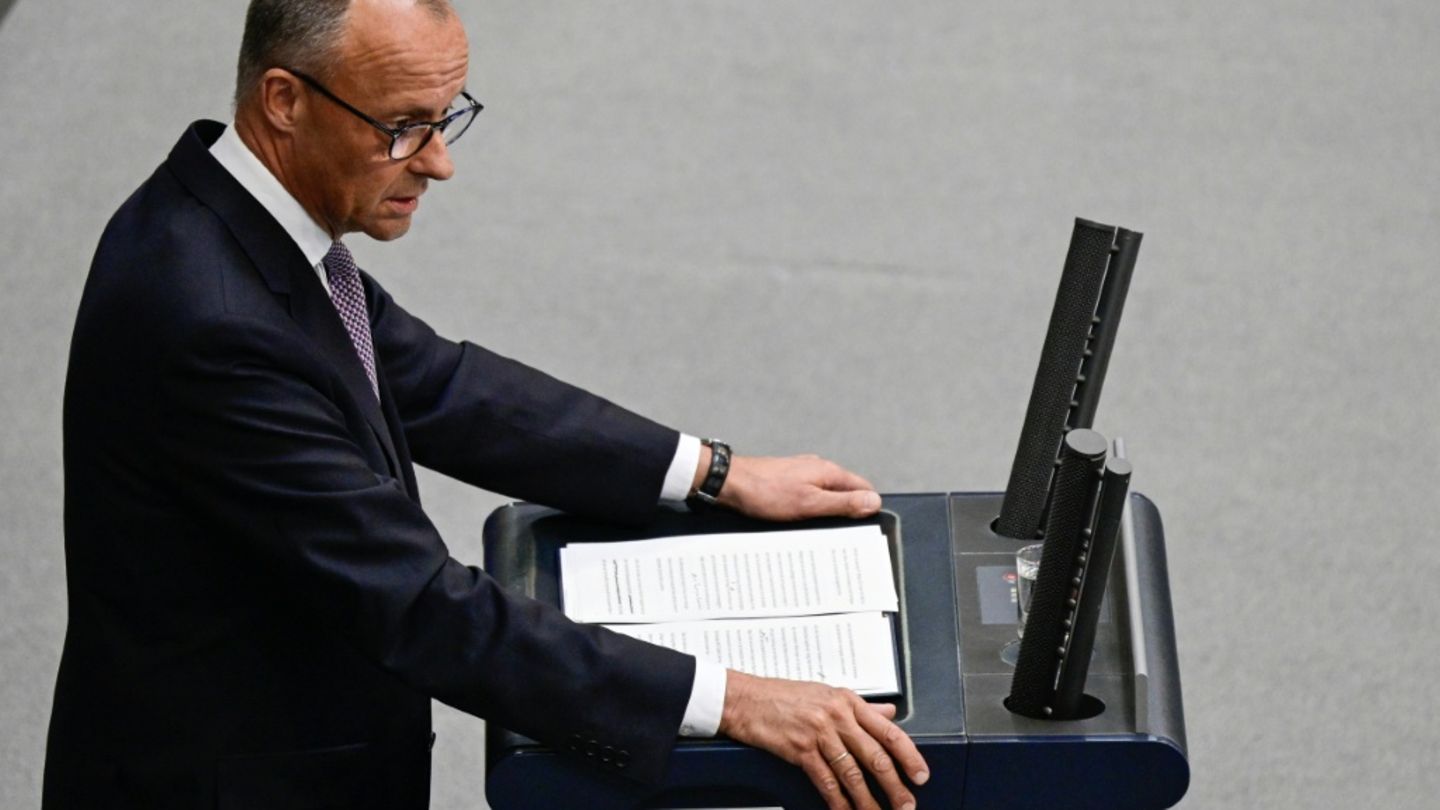 Merz im Bundestag