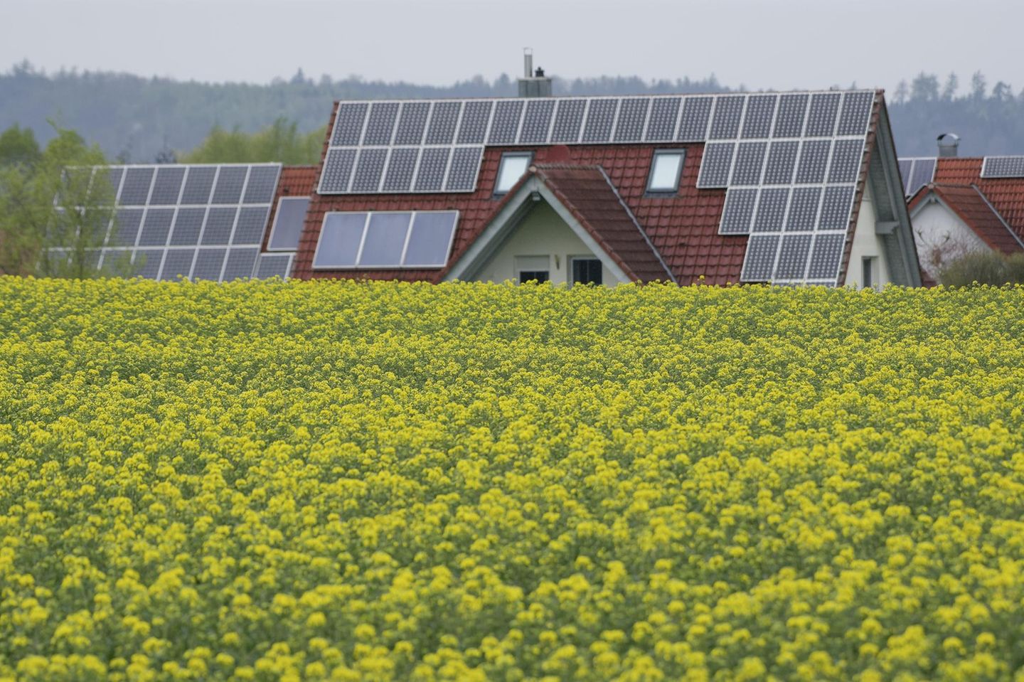 Ökobilanz: Dachlast: Photovoltaik bei Bibersfeld im Naturpark Schwäbisch-Fränkischer Wald Dachlast: Photovoltaik bei Bibersfeld im Naturpark Schwäbisch-Fränkischer Wald