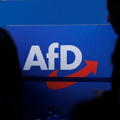 Das AfD-Logo