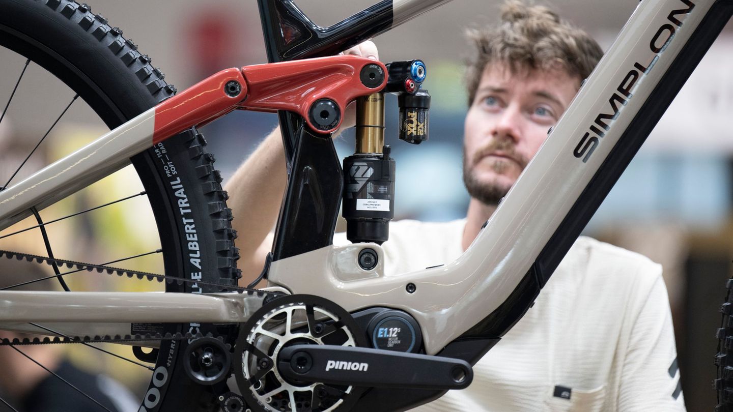 Leisure: Nothing works without a motor: E-bikes should save bicycle industry