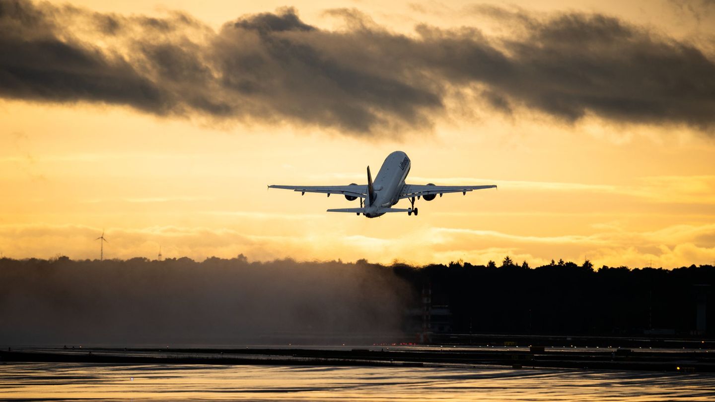 Passenger rights: free hand luggage? EU MP for new regulation