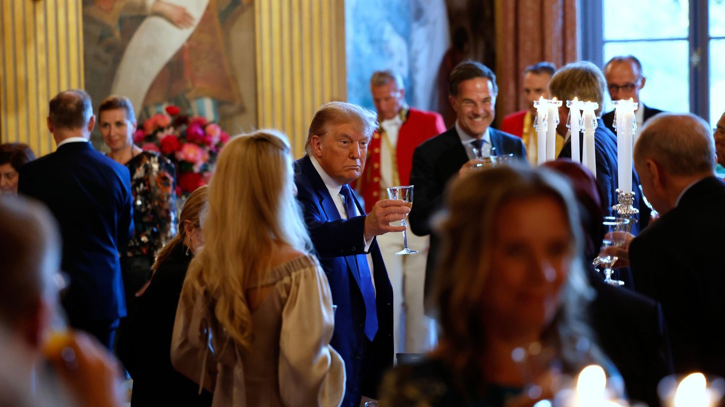 Allianz in difficult times: Alliance with Trump: What can be expected from the NATO summit