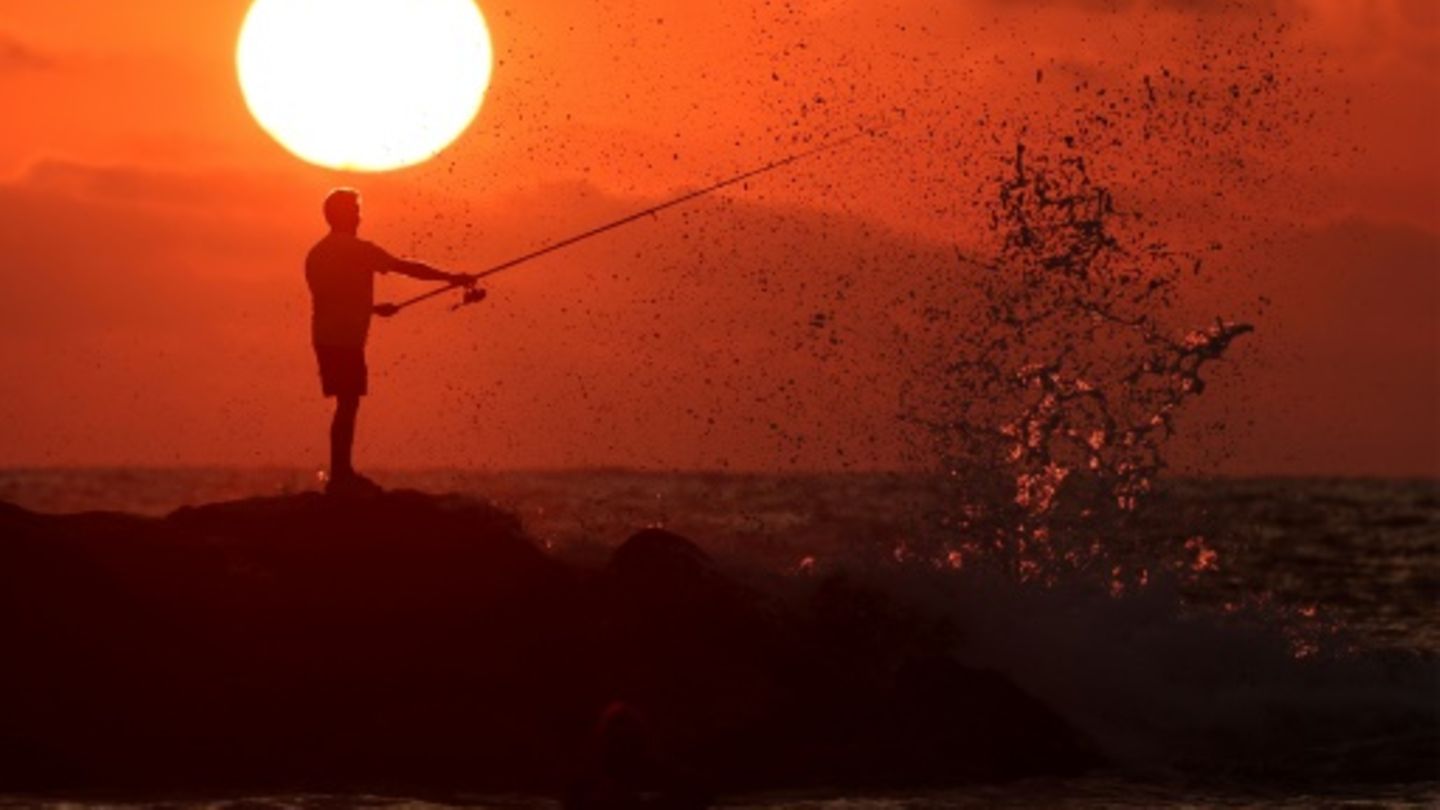 Angler