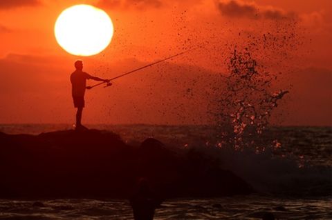Angler
