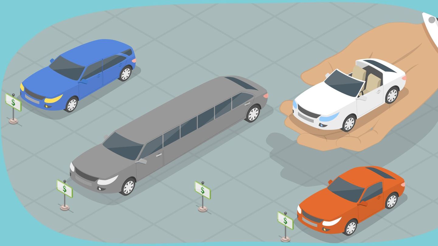 Driver’s license quiz: Twelve official questions test their knowledge