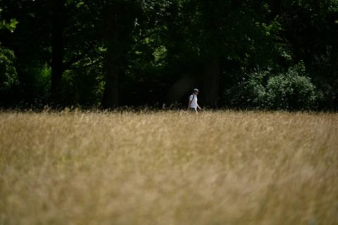 Sommerwetter