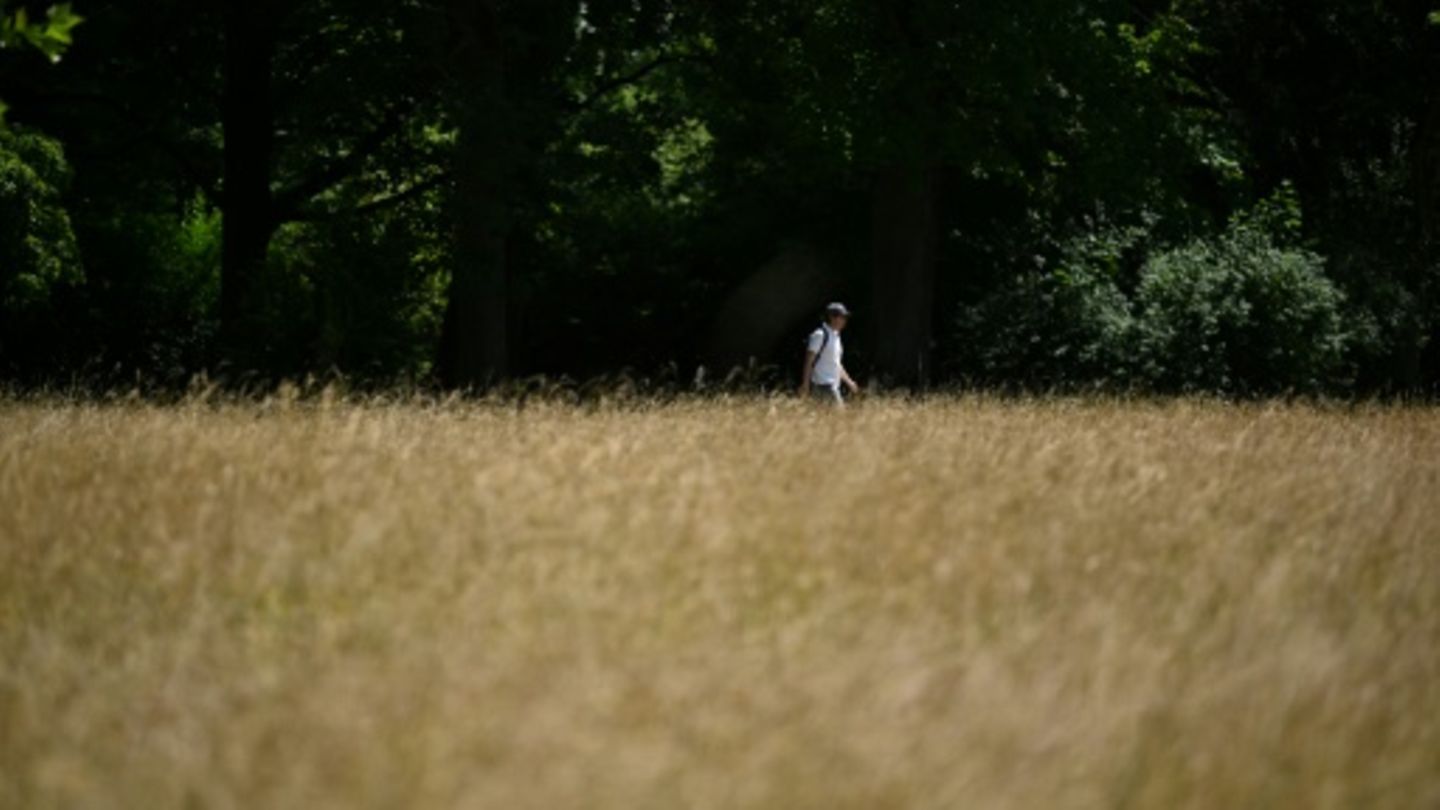 Sommerwetter
