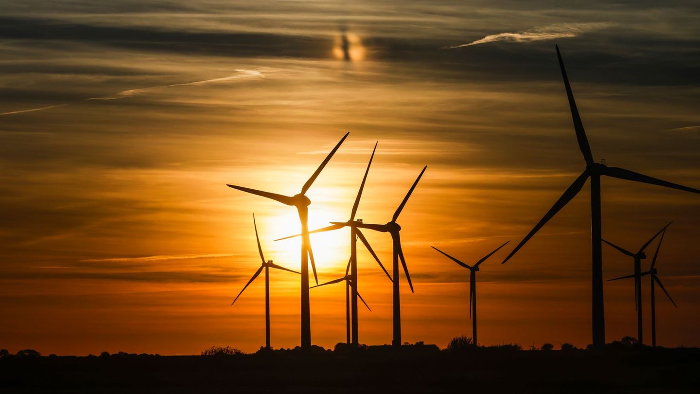 Analysis: Environment Agency: Renewable could lower consumer prices