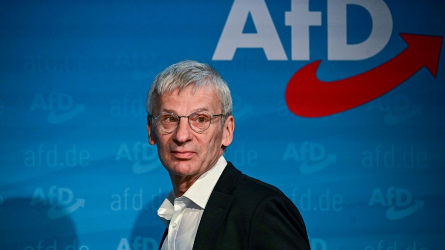 Brandenburgs AfD-Vorsitzender Hans-Christoph Berndt
