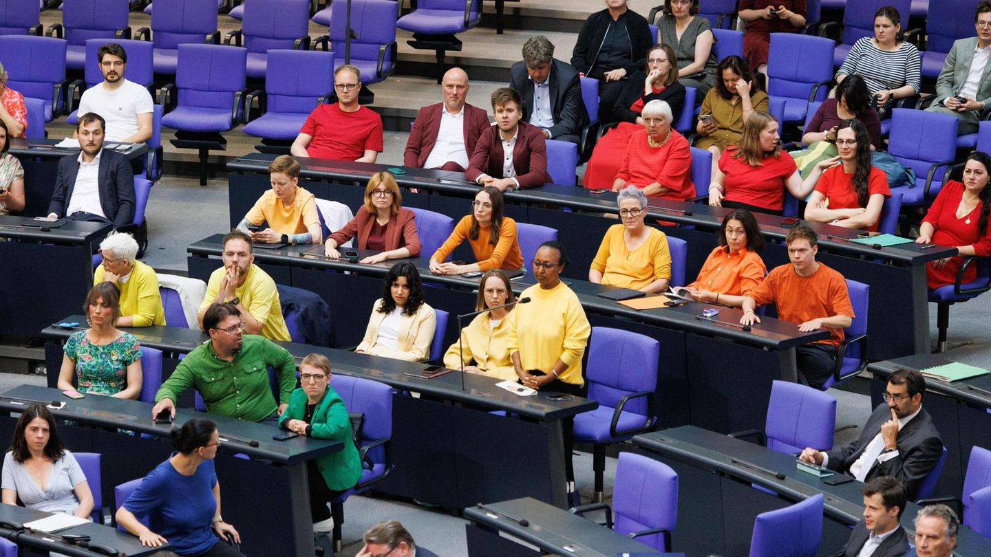 Bundestag: Greens and Left with colorful protest against Julia Klöckner