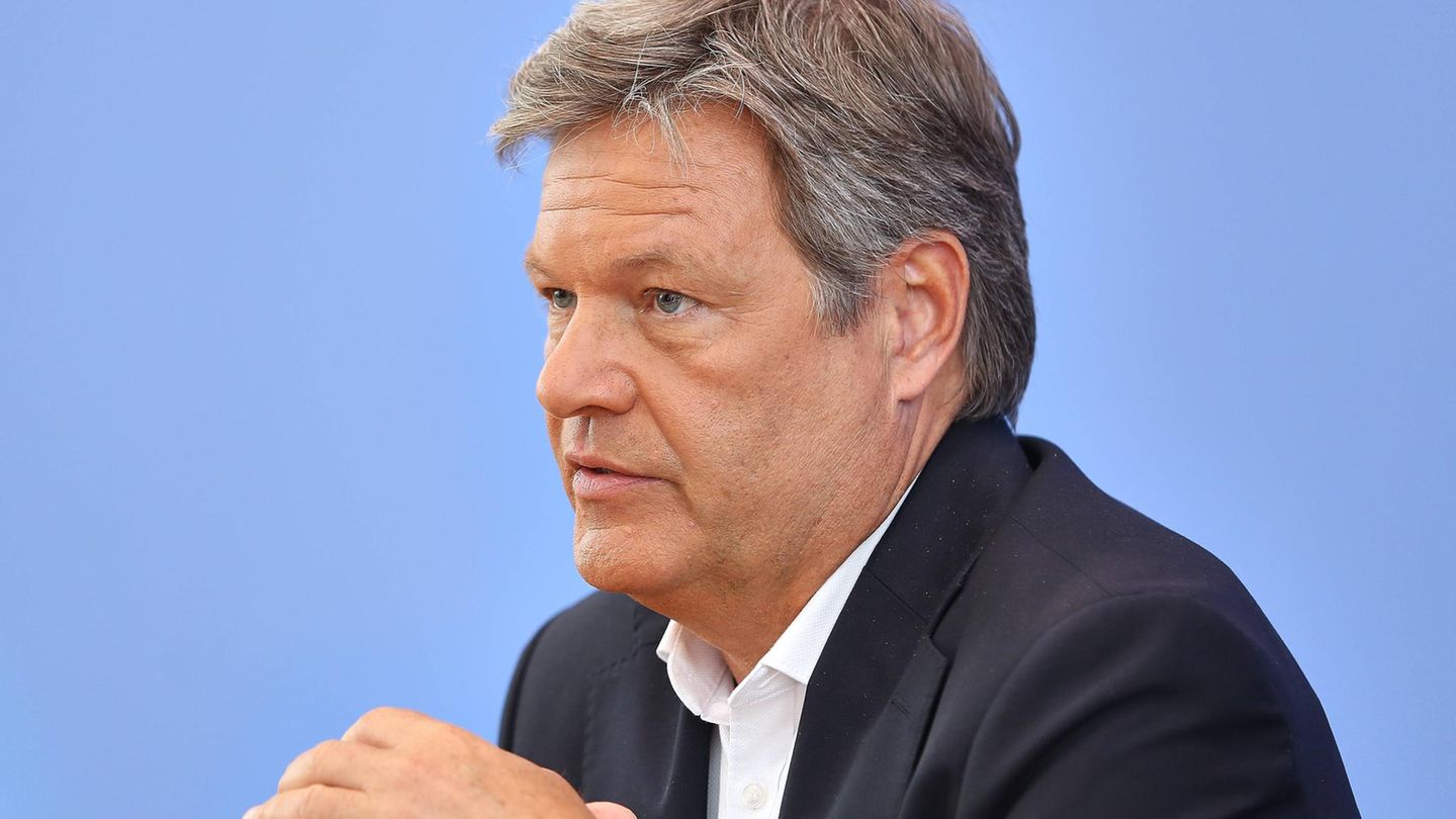 Robert Habeck (Grüne) Robert Habeck