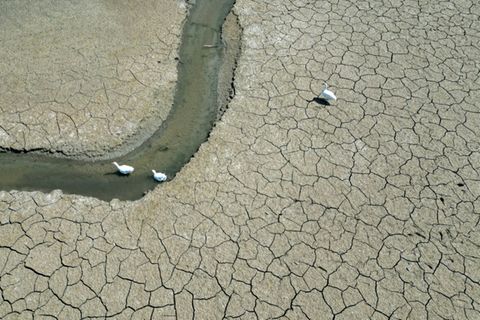 Durch den Klimawandel nehmen unter anderem Dürren zu