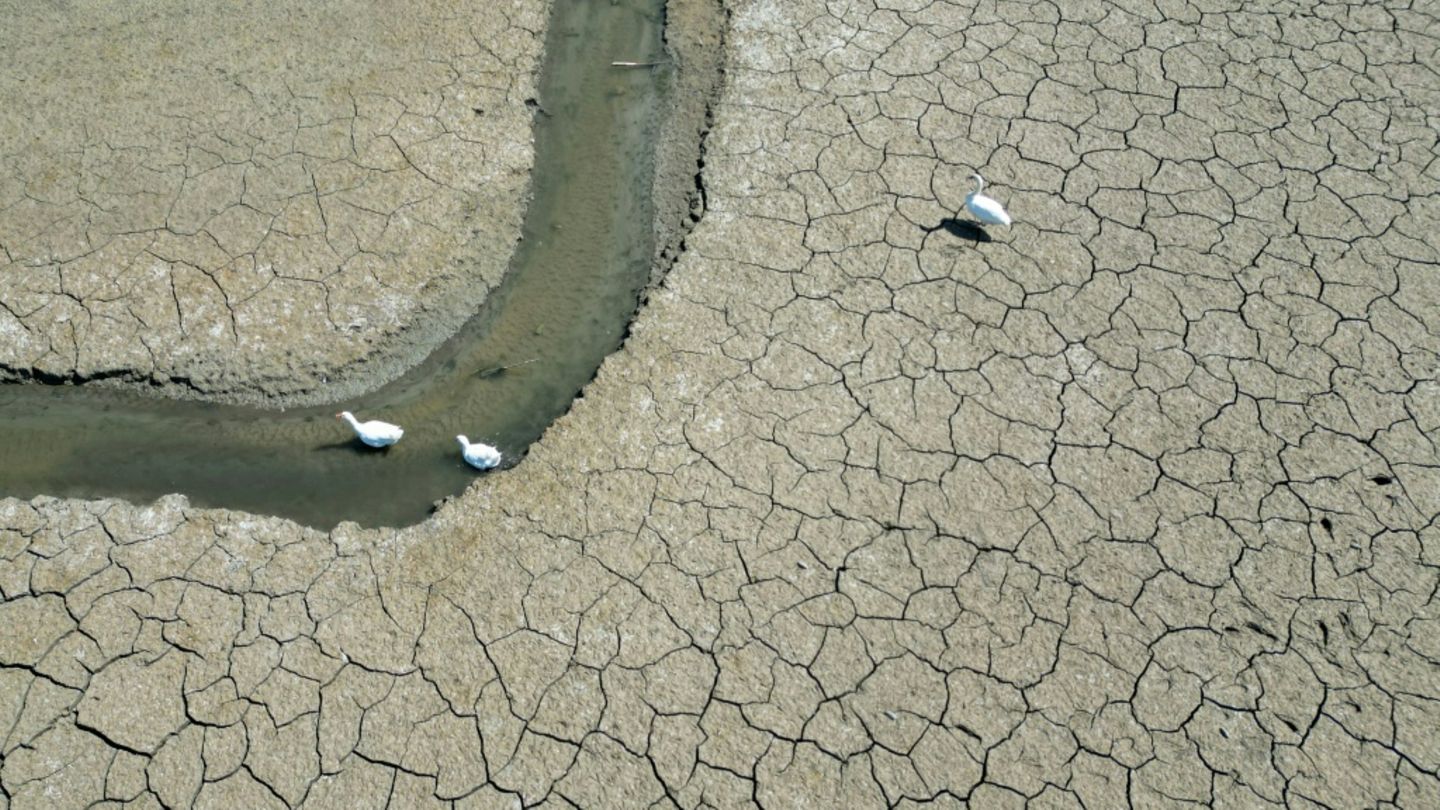 Durch den Klimawandel nehmen unter anderem Dürren zu