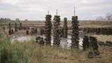 Moorlandschaft in Irland