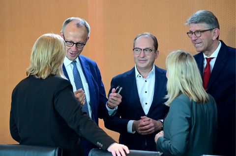 Kanzler Merz im Kabinett