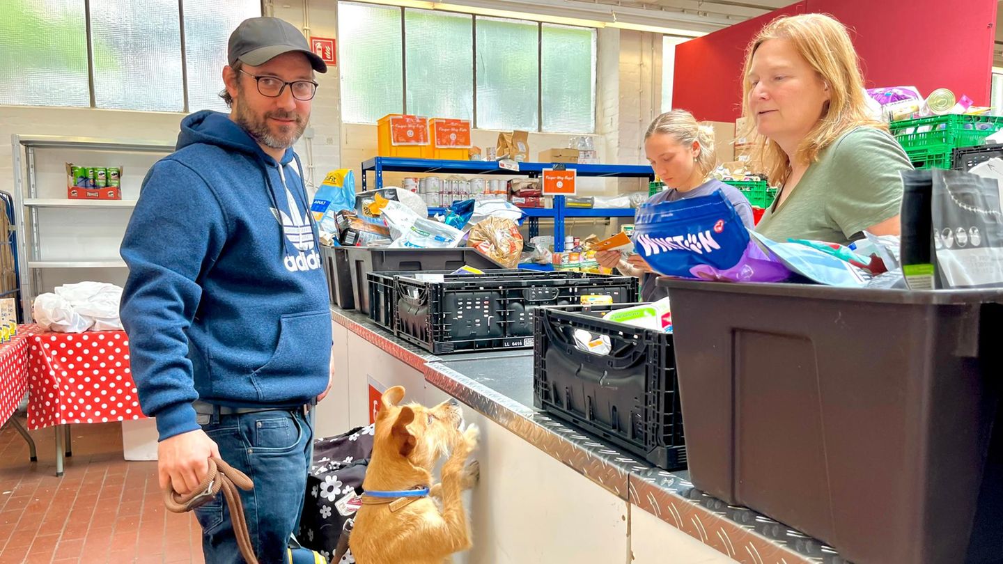 Tiertafel Mann mit Base Cap und blauem Hoodie und beigefarbener Hund stehen an Tresen zur Futterausgabe Tiertafel Mann mit Base Cap und blauem Hoodie und beigefarbener Hund stehen an Tresen zur Futterausgabe