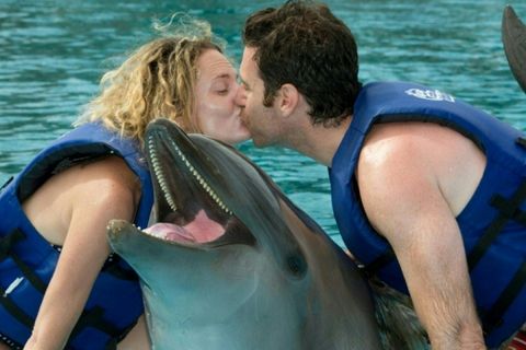 Delfinshow