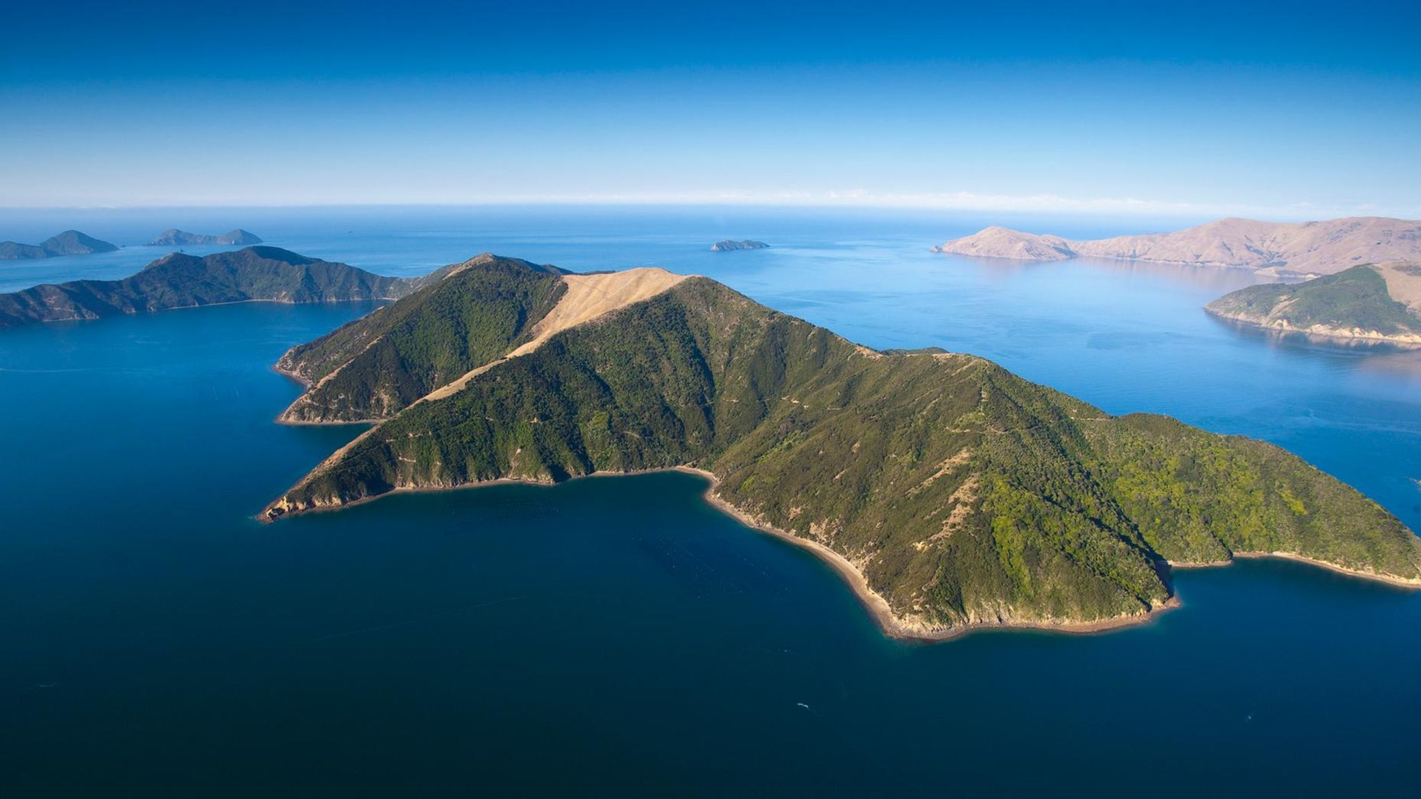 Private Insel Forsyth Island, Neuseeland