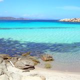 Gelegen in den Îles Lavezzi, einer Inselgruppe zwischen Korsika und Sardinien. Mietpreis für das Anwesen ab 330 Euro