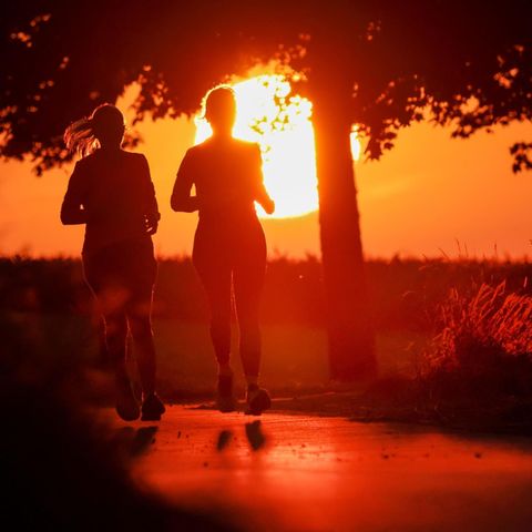 Bei sommerlichen Temperaturen joggt es sich am besten bei Sonnenauf- oder -untergang